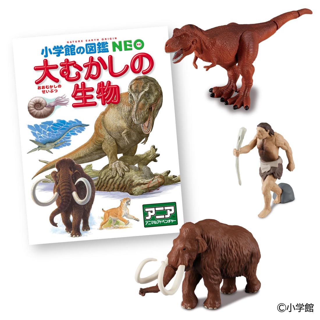 Amazon.co.jp: タカラトミー(TAKARA TOMY) アニア 小学館の図鑑NEO 大